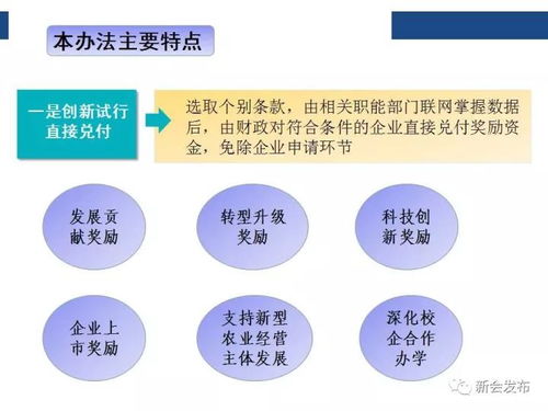 信息量超大，一圖讀懂新會(huì)“黃金十條” 解鎖區(qū)域發(fā)展的關(guān)鍵信息咨詢(xún)服務(wù)