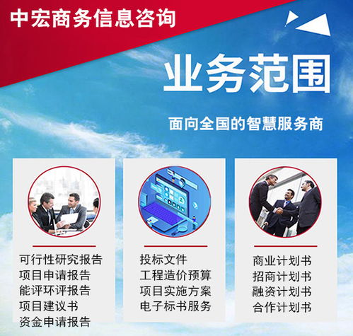 重慶信息咨詢服務商業計劃書代寫策劃案 專業撰寫指南與核心要點
